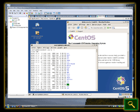 Screen-shot of VMware Workstation running Linux guest on Windows Vista host